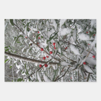 Frozen Wrapping Paper Sheets