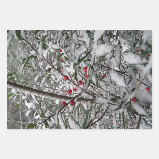 Frozen Wrapping Paper Sheets (Front 3)