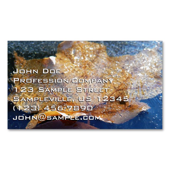 Frozen Yellow Maple Leaf Autumn Nature Business Card Magnet (Front)
