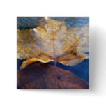 Frozen Yellow Maple Leaf Autumn Nature Button