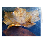 Frozen Yellow Maple Leaf Autumn Nature Card