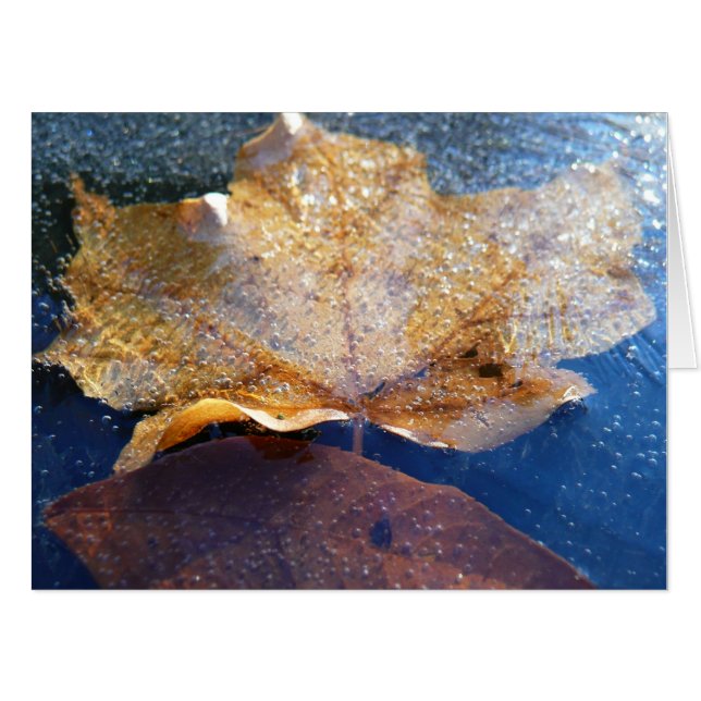 Frozen Yellow Maple Leaf Autumn Nature Card (Front Horizontal)