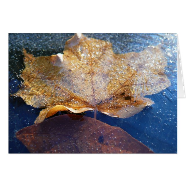Frozen Yellow Maple Leaf Autumn Nature Cards (Front Horizontal)