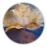 Frozen Yellow Maple Leaf Autumn Nature Ceramic Knob