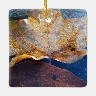Frozen Yellow Maple Leaf Autumn Nature Ceramic Ornament