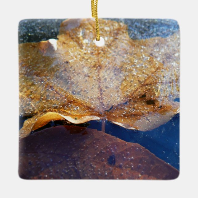 Frozen Yellow Maple Leaf Autumn Nature Ceramic Ornament (Front)