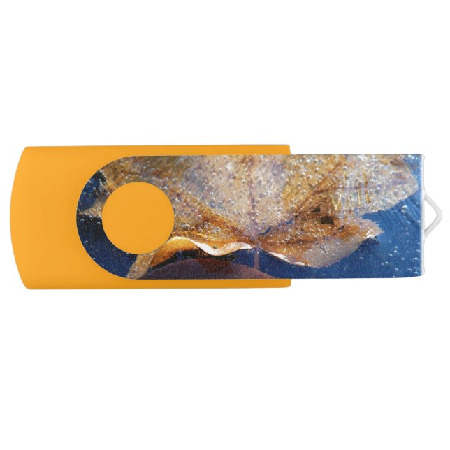 Frozen Yellow Maple Leaf Autumn Nature Flash Drive (Front)