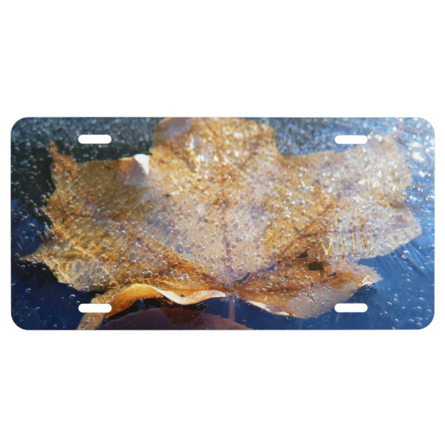Frozen Yellow Maple Leaf Autumn Nature License Plate (Front)