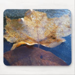 Frozen Yellow Maple Leaf Autumn Nature Mouse Pad