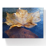 Frozen Yellow Maple Leaf Autumn Nature Paperweight