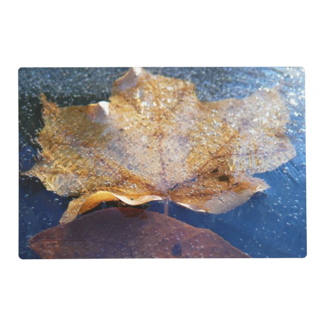 Frozen Yellow Maple Leaf Autumn Nature Placemat (Front)