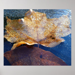 Frozen Yellow Maple Leaf Autumn Nature Poster