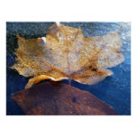 Frozen Yellow Maple Leaf Autumn Nature Poster