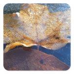 Frozen Yellow Maple Leaf Autumn Nature Square Sticker