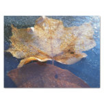 Frozen Yellow Maple Leaf Autumn Nature Tissue Paper