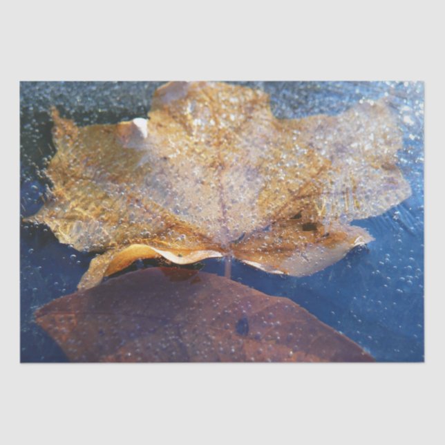 Frozen Yellow Maple Leaf Autumn Nature Tissue Paper (Front)