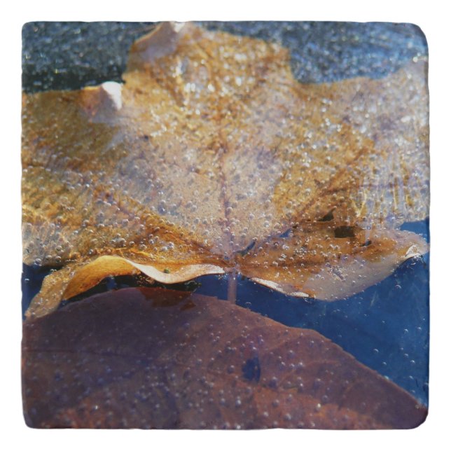 Frozen Yellow Maple Leaf Autumn Nature Trivet (Front)