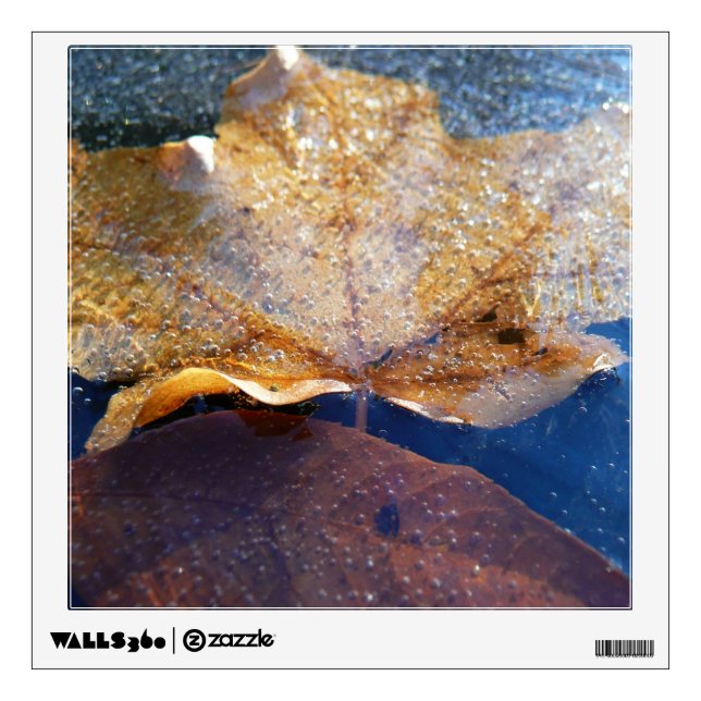 Frozen Yellow Maple Leaf Autumn Nature Wall Decal (Front)