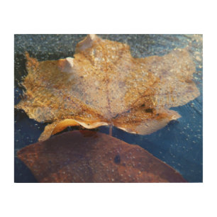 Frozen Yellow Maple Leaf Autumn Nature Wood Wall Decor