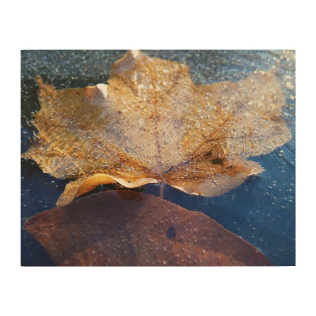 Frozen Yellow Maple Leaf Autumn Nature Wood Wall Decor (Front)