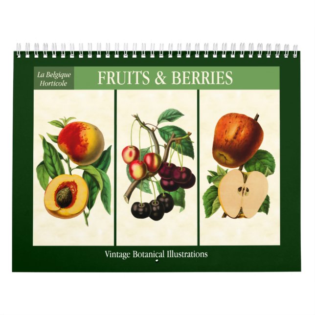 Fruit and Berries Vintage Botanical 2026 Calendar (Cover)