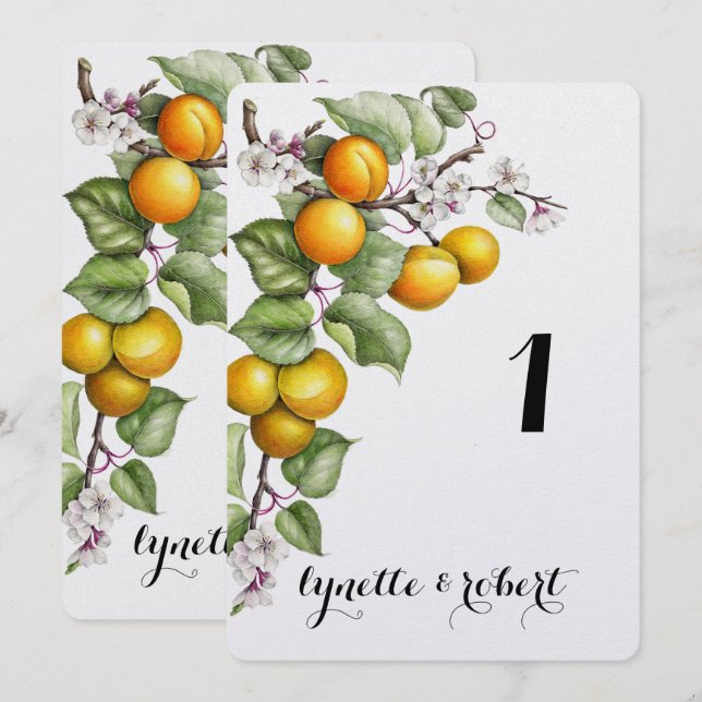 Fruit and Floral Watercolor Wedding Table Number (Front/Back)