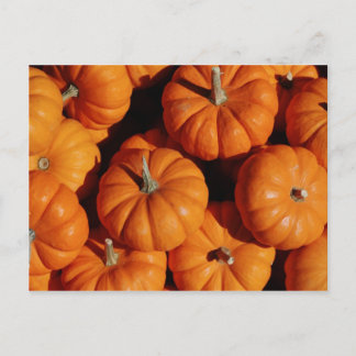 Fruit and Food Postcard 17