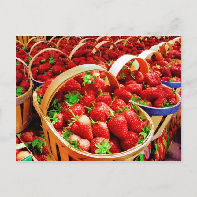 Fruit and Food Postcard 4 (Front)