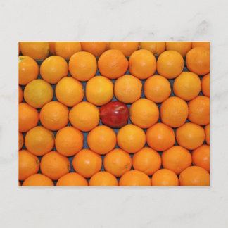 Fruit and Food Postcard 7
