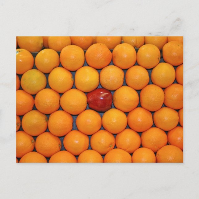 Fruit and Food Postcard 7 (Front)