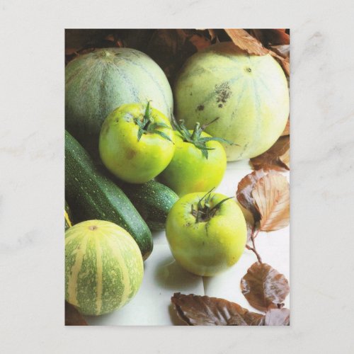 Fruit and vegetables Green tomatoes and melons Postcard
