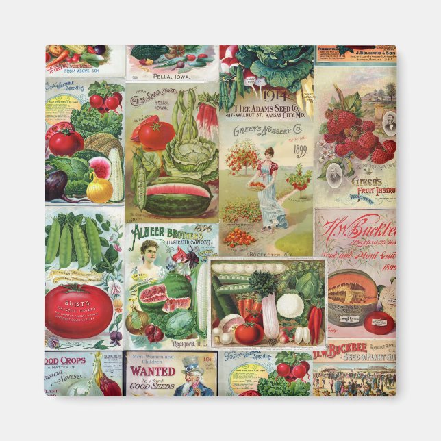 Fruit and Veggies Seed Catalog Collage Magnet (Front)