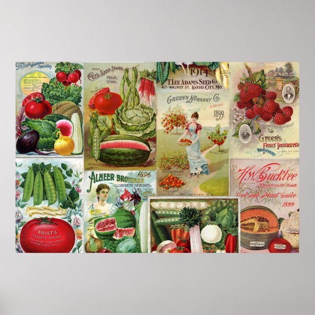 Fruit and Veggies Seed Catalog Collage Poster (Front)
