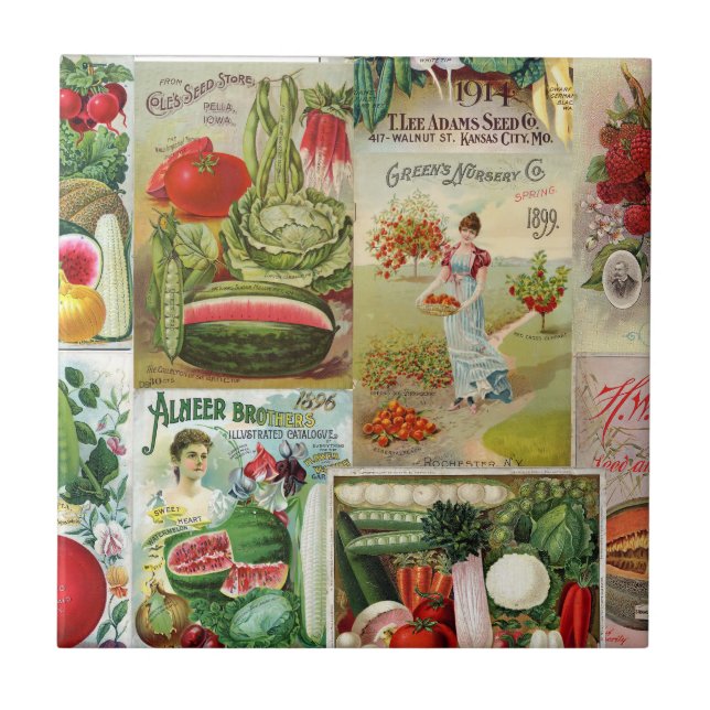 Fruit and Veggies Seed Catalog Collage Tile (Front)