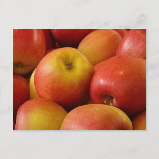 Fruit Apples Autumn Colors Destiny Postcard