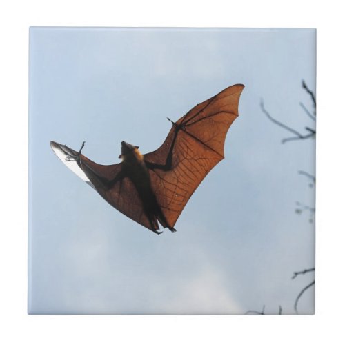 Fruit bat flying fox ceramic tile