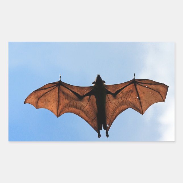 Fruit bat rectangular sticker (Front)