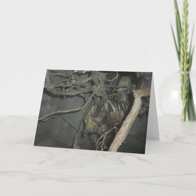 "Fruit Bats" Birthday Card (Front)