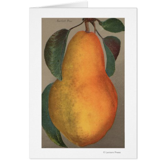 Fruit Chromo Lithograph of Bartlett Pear Cards (Front)