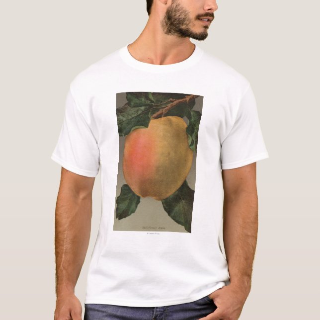 Fruit Chromo Lithograph of Belleflower Apple T-Shirt (Front)
