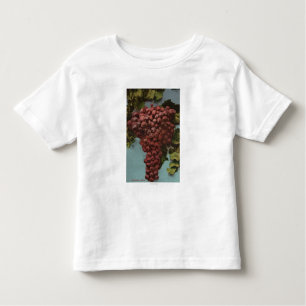 Fruit Chromo Lithograph of California Grapes Toddler T-shirt