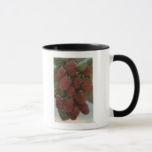 Fruit Chromo Lithograph of LoganberriesState Mug