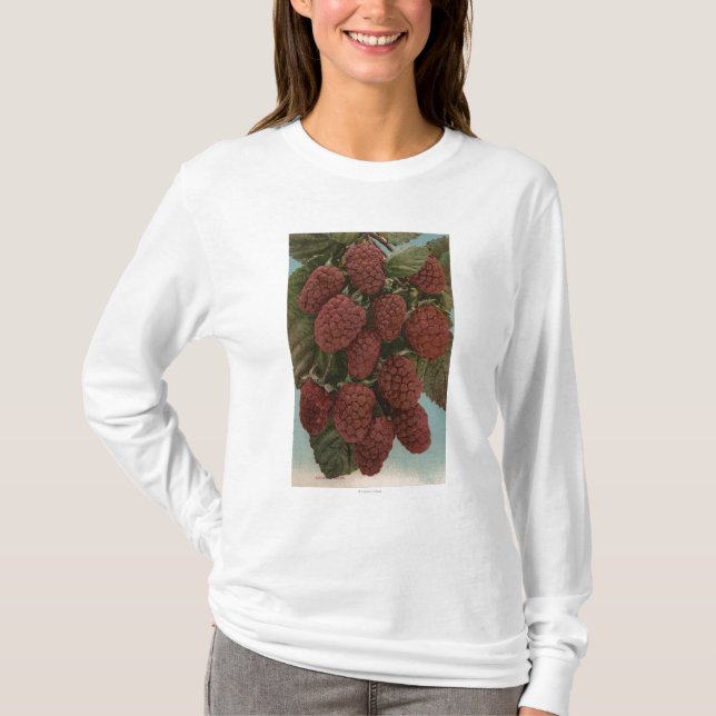 Fruit Chromo Lithograph of LoganberriesState T-Shirt (Front)