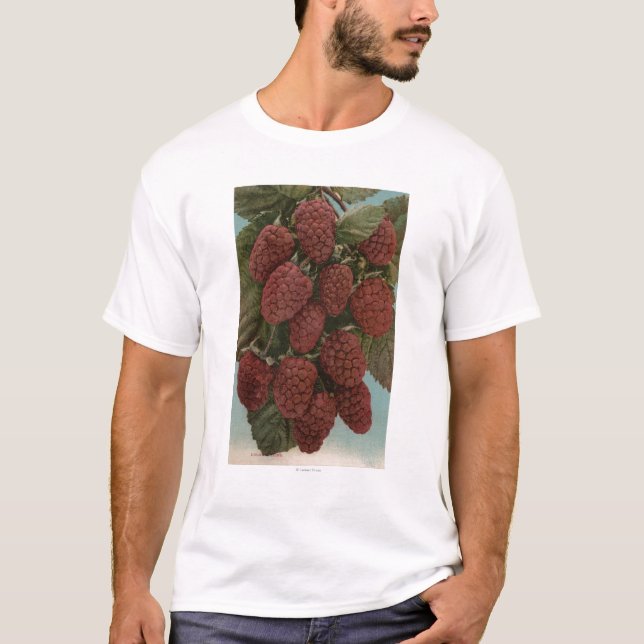 Fruit Chromo Lithograph of LoganberriesState T-Shirt (Front)