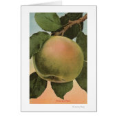 Fruit Chromo Lithograph of Newtown Pippen (Front)