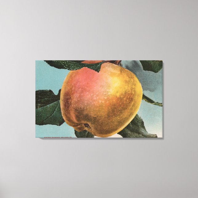 Fruit Chromo Lithograph of White Winter Pearmain Canvas Print (Front)