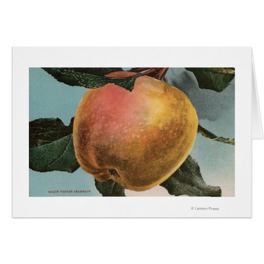 Fruit Chromo Lithograph of White Winter Pearmain Cards (Front Horizontal)