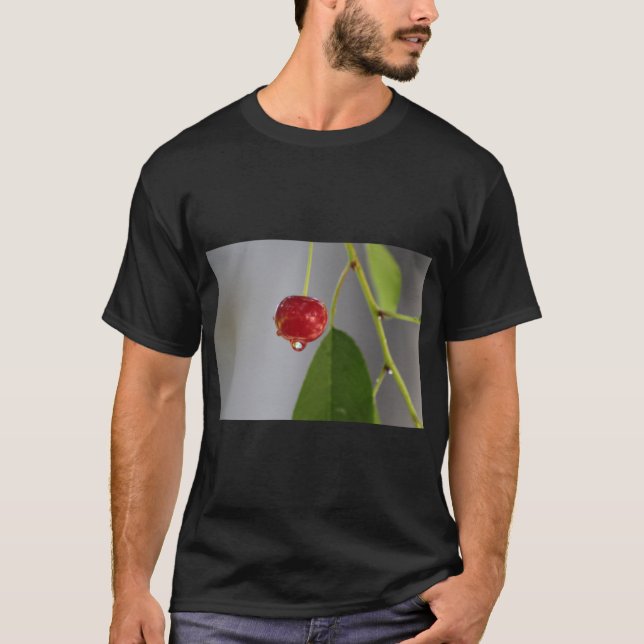 Fruit Drop Splash Art T-Shirt (Front)