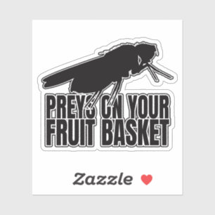 Fruit Flies Fruit Fly Drosophila Entomology Geek Sticker
