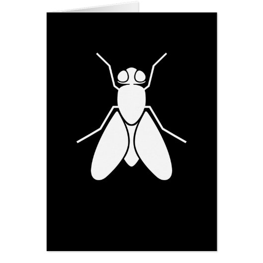 Fruit Fly Cards (Front)